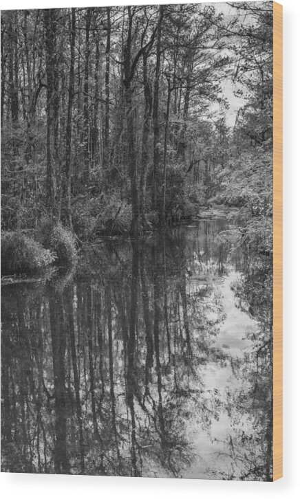 Everglades Wood Print featuring the photograph Big Cypress Stillness by Jon Glaser