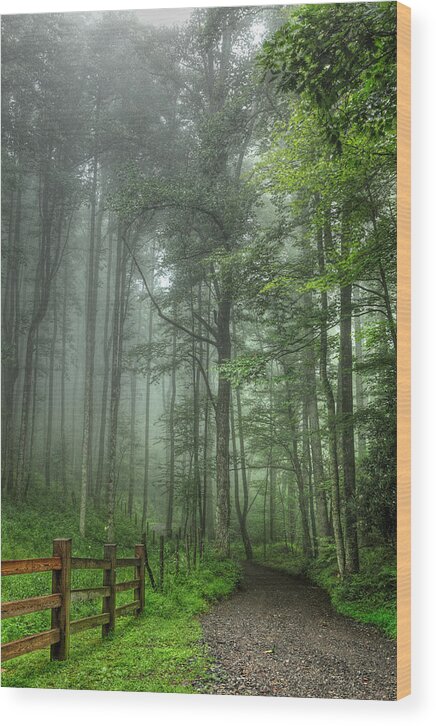North Carolina Wood Print featuring the photograph Blue Ridge - Trees in Fog Country Road I by Dan Carmichael