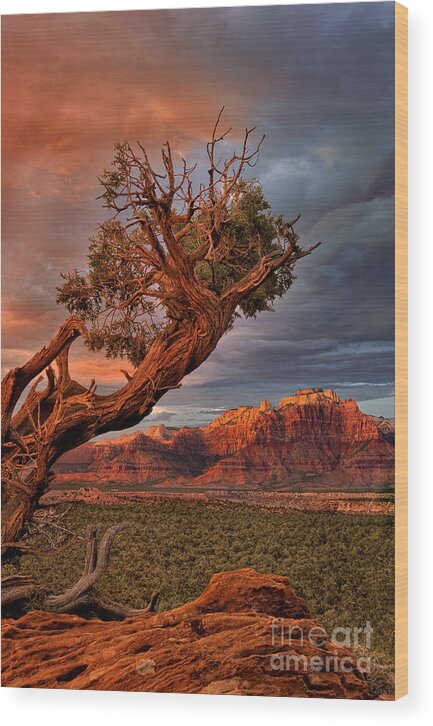 Dave Welling Wood Print featuring the photograph Clearing Storm And West Temple South Of Zion National Park by Dave Welling