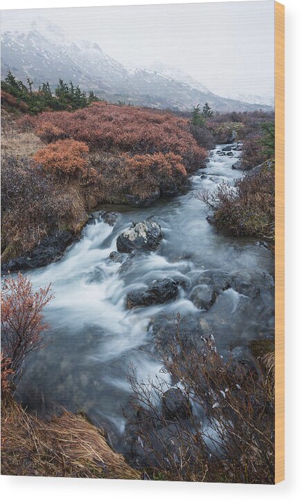 Alaska Wood Print featuring the photograph Cold Creek in Autumn by Tim Newton