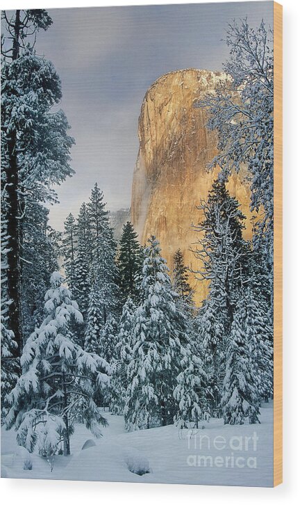 North America Wood Print featuring the photograph El Capitan on a Winter Morning Yosemite National Park California by Dave Welling