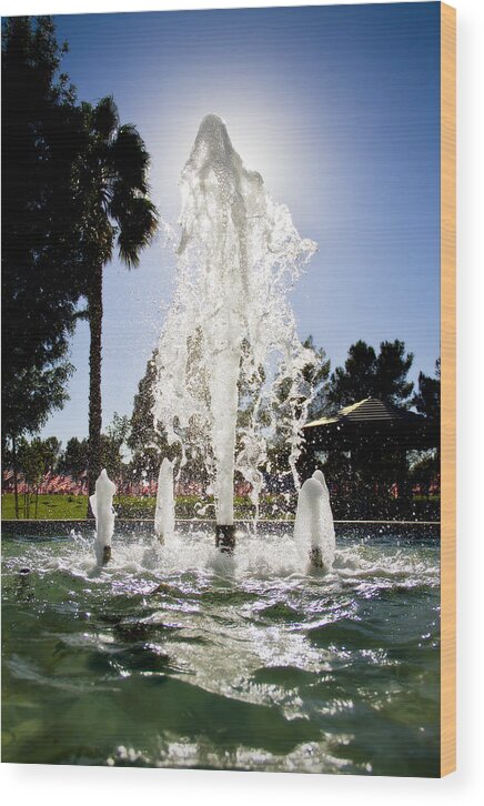 Fountain Wood Print featuring the photograph Fountain of Freedom by Mike Hill