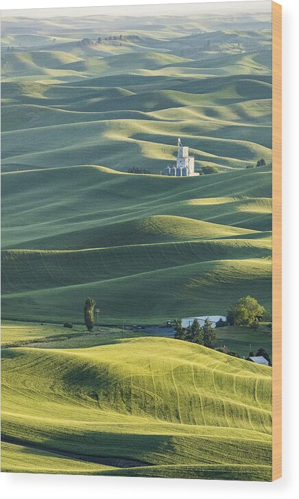 Agriculture Wood Print featuring the photograph Grainery by Jon Glaser
