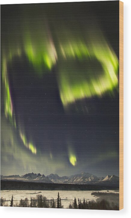  Alaska Wood Print featuring the photograph Heart Of Denali by Ed Boudreau