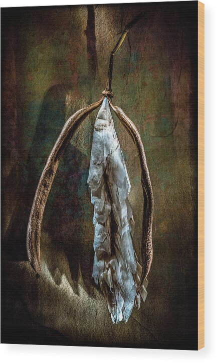  2013 Lou Novick Wood Print featuring the photograph Hong Kong Orchid Seed Pod 1 by Lou Novick