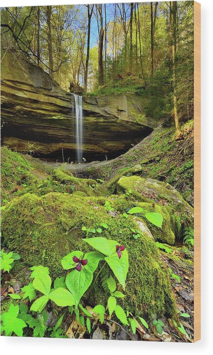 Nature Landscape Waterfall Trillium Kentucky Big South Fork River Yamacraw Princess Falls Spring Wood Print featuring the photograph Julia Lynn Falls by Jeff Burcher