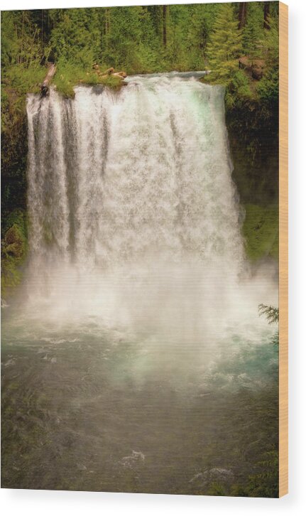2011 Wood Print featuring the photograph Koosah Falls Oregon by Connie Cooper-Edwards