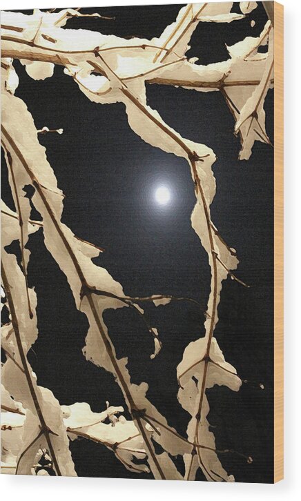Snow Wood Print featuring the photograph Ladyfingers Dipped in Moonlight by Xine Segalas