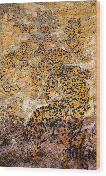 Lichen Wood Print featuring the photograph Lichen abstract, Bhimbetka, 2016 by Hitendra SINKAR