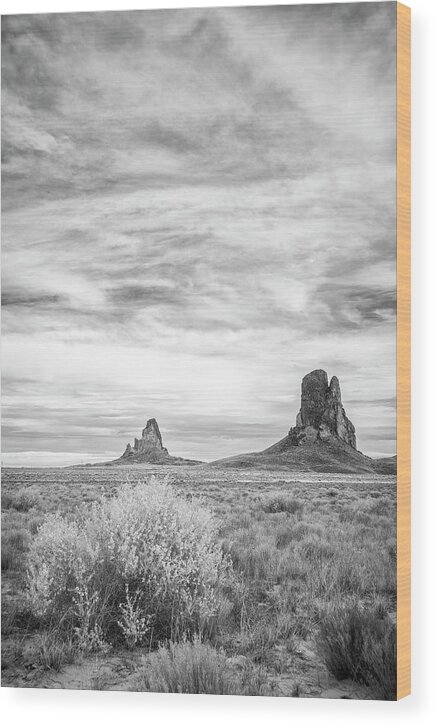 Agathla Wood Print featuring the photograph Lost Souls in the Desert by Jon Glaser