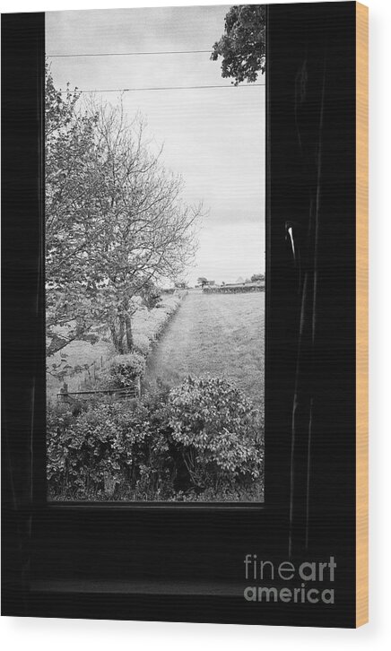 Carlisle Wood Print featuring the photograph modern window looking out onto rural fields in the lake district Cumbria England UK by Joe Fox