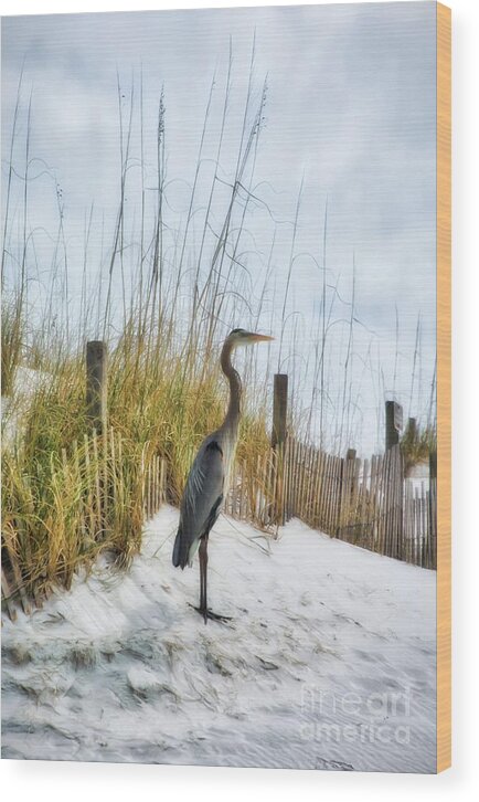 Norriego Point Heron Wood Print featuring the photograph Norriego Point Heron by Mel Steinhauer