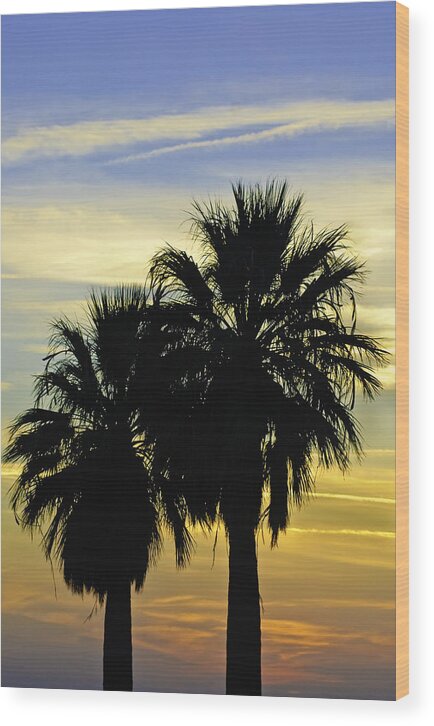 Usa Wood Print featuring the photograph Palm Tree Silhouette by Sherri Meyer
