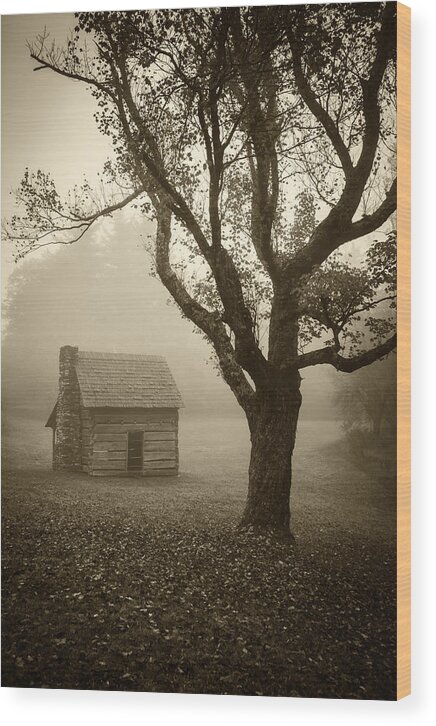 Landscape Wood Print featuring the photograph Paw's Cabin-sepia by Joye Ardyn Durham