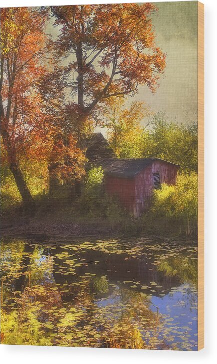 Red Barn Wood Print featuring the photograph Red Barn in Autumn by Joann Vitali