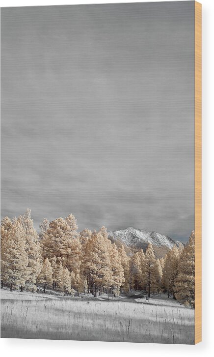 Jon Evan Glaser Wood Print featuring the photograph San Francisco Peak by Jon Glaser