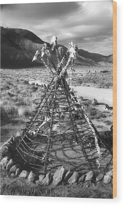 Teepee Wood Print featuring the photograph Skeletal Teepee by Neil Pankler