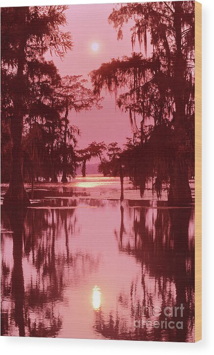 North America Wood Print featuring the photograph Sunset on the Bayou Atchafalaya Basin Louisiana by Dave Welling