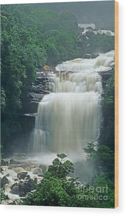 Venezuela Wood Print featuring the photograph The Base of Angel Falls in Canaima National Park Venezuela by Dave Welling
