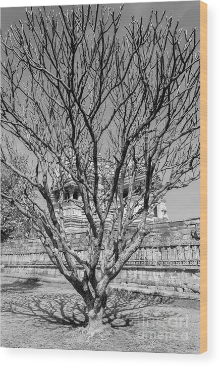 Tree Wood Print featuring the photograph Tree and Temple by Hitendra SINKAR