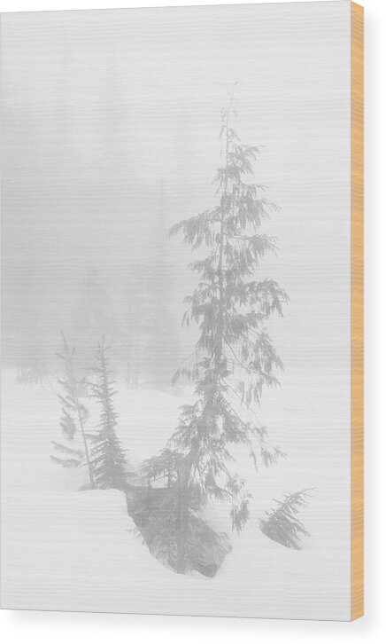 Tree Wood Print featuring the photograph Trees in Fog Monochrome by Tim Newton