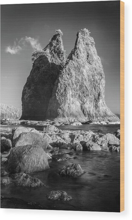 Art Wood Print featuring the photograph Two Monoliths by Jon Glaser