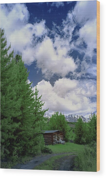 Tetons Wood Print featuring the photograph A Place in the Tetons by Jon Glaser