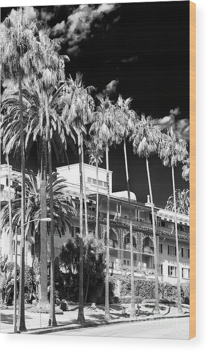 Beverly Hills Hotel Wood Print featuring the photograph Beverly Hills Hotel by John Rizzuto