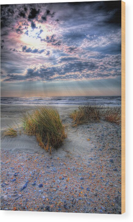 North Carolina Wood Print featuring the photograph Ocracoke Winter Dunes V by Dan Carmichael