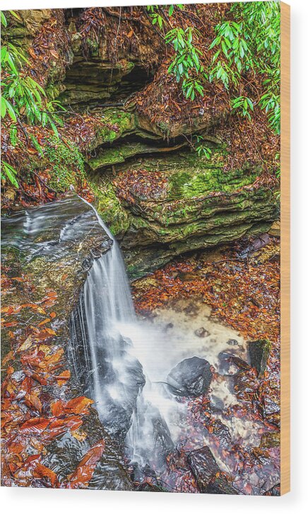 Kentucky Wood Print featuring the photograph Upper Bell Falls II by Ed Newell
