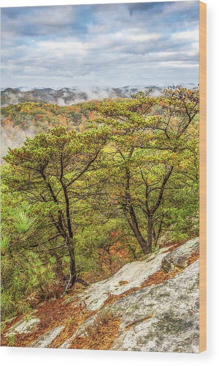Fall Wood Print featuring the photograph Cliff Dwellers by Ed Newell