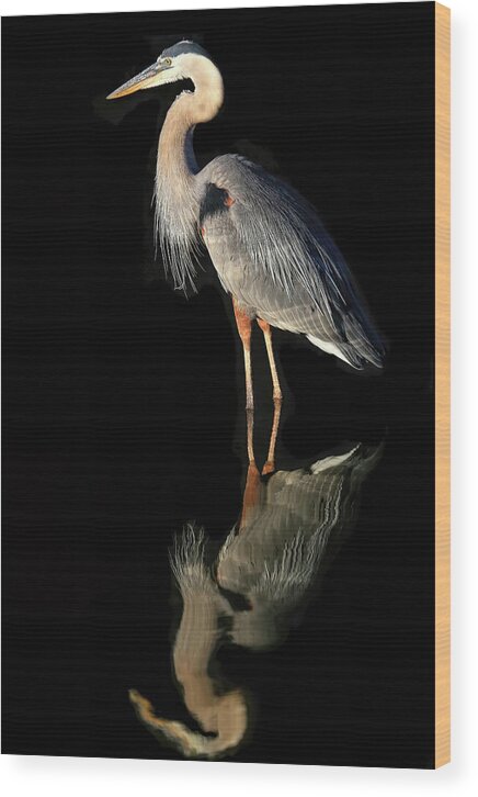 Great Blue Heron Wood Print featuring the photograph And Then There Were Two by Donna Kennedy