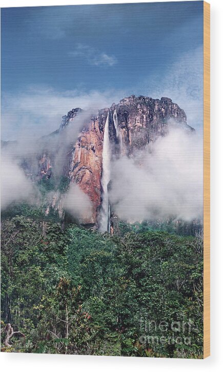 Dave Welling Wood Print featuring the photograph Angel Falls In Mist Canaima National Park Venezuela by Dave Welling