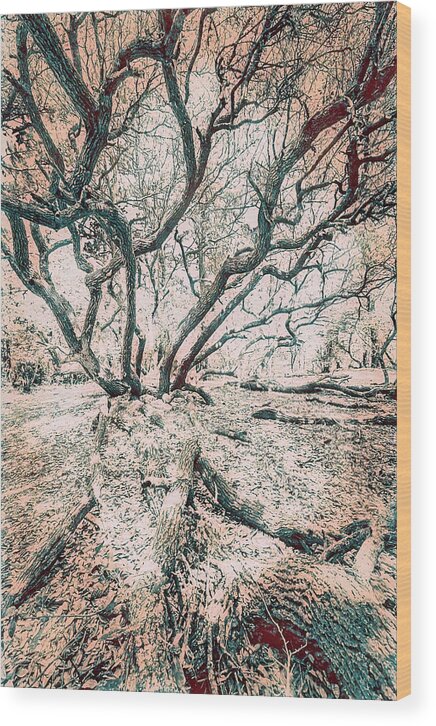 North Carolina Wood Print featuring the digital art Live Oak Tree of Life fx by Dan Carmichael