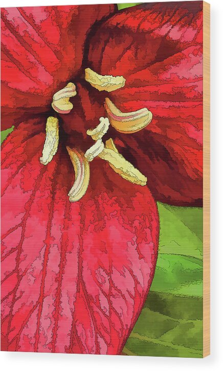 Nature Wood Print featuring the photograph Ruby Red Trillium by ABeautifulSky Photography by Bill Caldwell
