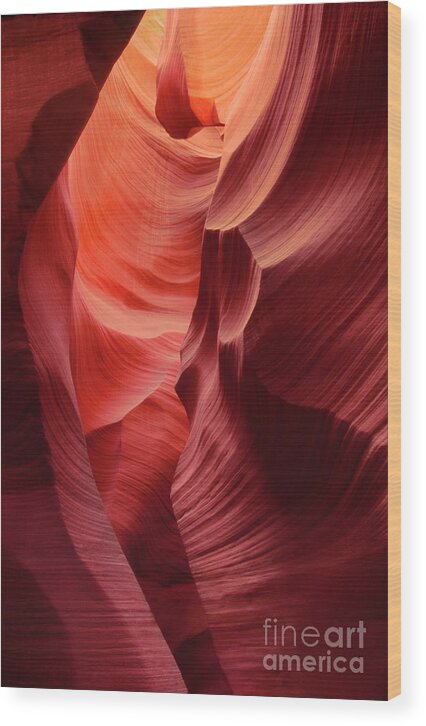 Dave Welling Wood Print featuring the photograph Sandstone Walls Lower Antelope Slot Canyon Arizona by Dave Welling