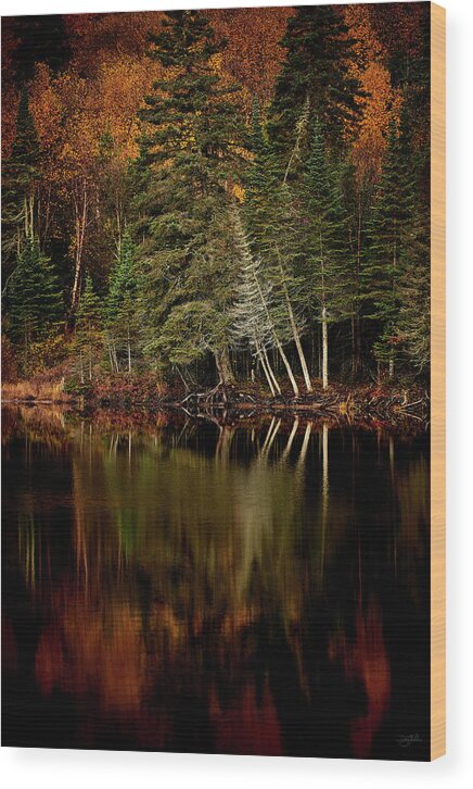 Canada Wood Print featuring the photograph Sensuous by Doug Gibbons