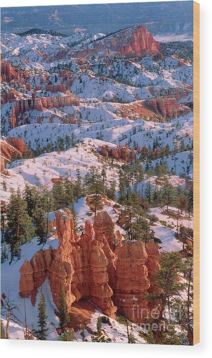 Dave Welling Wood Print featuring the photograph Winter Sunrise Bryce Canyon National Park by Dave Welling