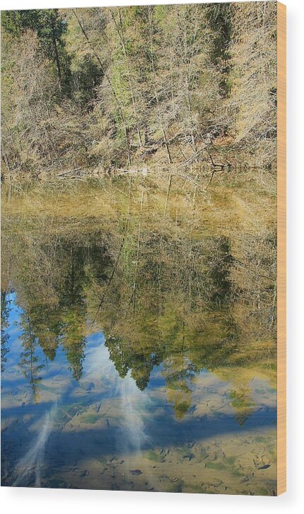 Lake Tahoe Wood Print featuring the photograph Yuba Soul Portrait by Sean Sarsfield