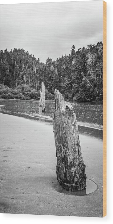 Alone Wood Print featuring the photograph Dissolving Wood Pier by Mike Fusaro