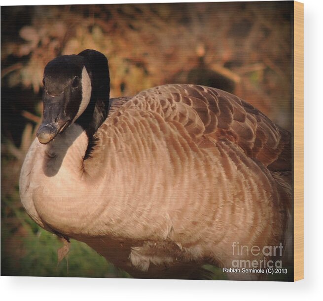 Wildlife Wood Print featuring the photograph Are you talking to me #1 by Rabiah Seminole