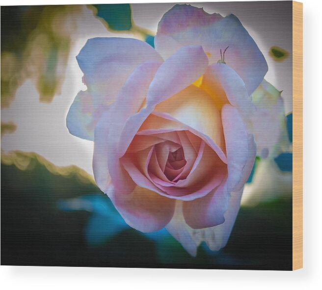 Rose Wood Print featuring the photograph Autumn Rose by GeeLeesa Productions