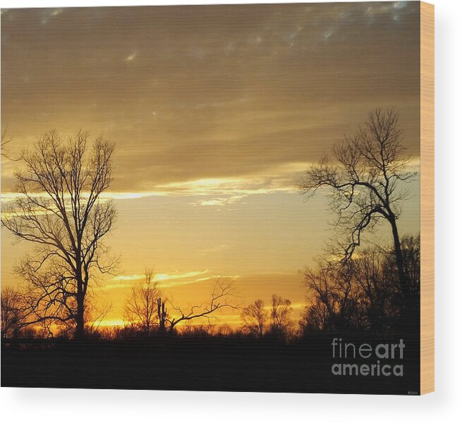 Gold Wood Print featuring the photograph Golden Sunset 61 #1 by Lizi Beard-Ward