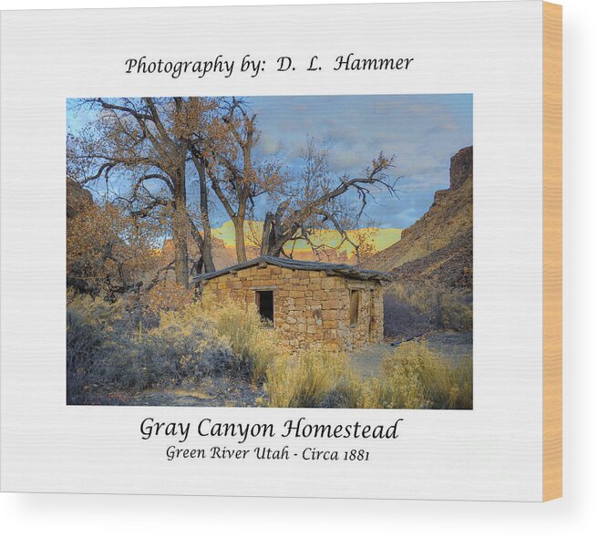 Vintage Wood Print featuring the photograph Gray Canyon Homestead by Dennis Hammer
