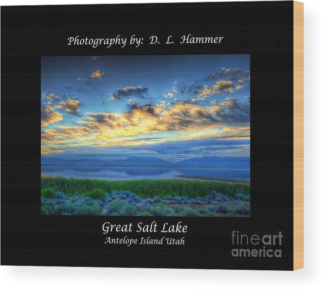 Places Wood Print featuring the photograph Great Salt Lake #1 by Dennis Hammer