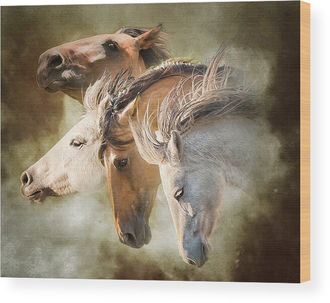 Equine Wood Print featuring the photograph Mustang Run #1 by Ron McGinnis