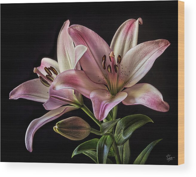 Flower Wood Print featuring the photograph Pink Tiger Lilies #1 by Endre Balogh