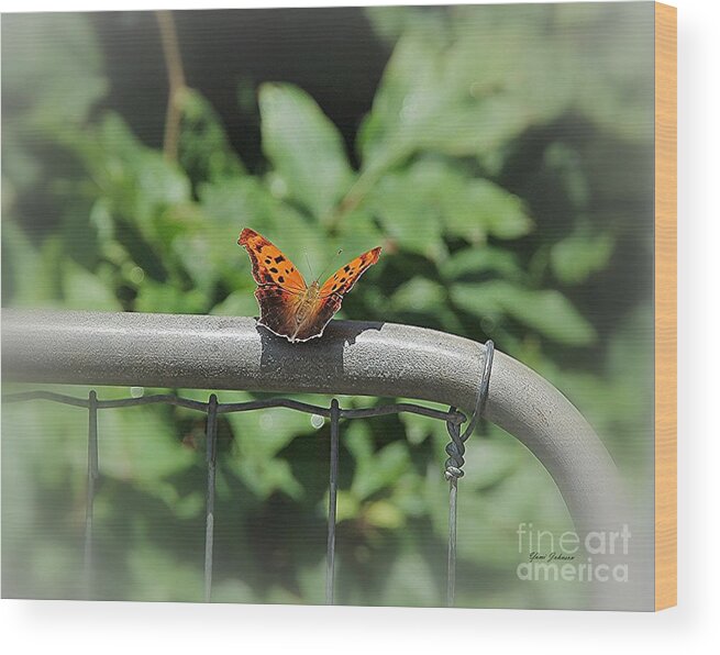 Question Mark Butterfly Wood Print featuring the photograph Question Mark Butterfly #1 by Yumi Johnson