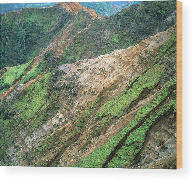 Canyon Wood Print featuring the photograph Soil Erosion On The Sides Of A Canyon #1 by Simon Fraser/science Photo Library