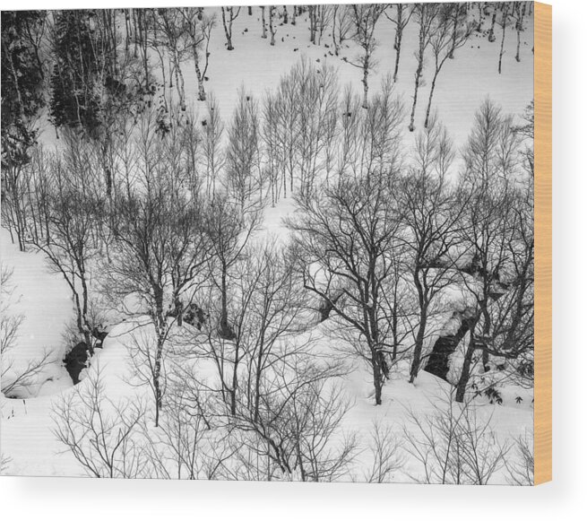 Shiga Japan In Winter Wood Print featuring the photograph Winter Scene Shiga Japan #1 by Ronald Steiner